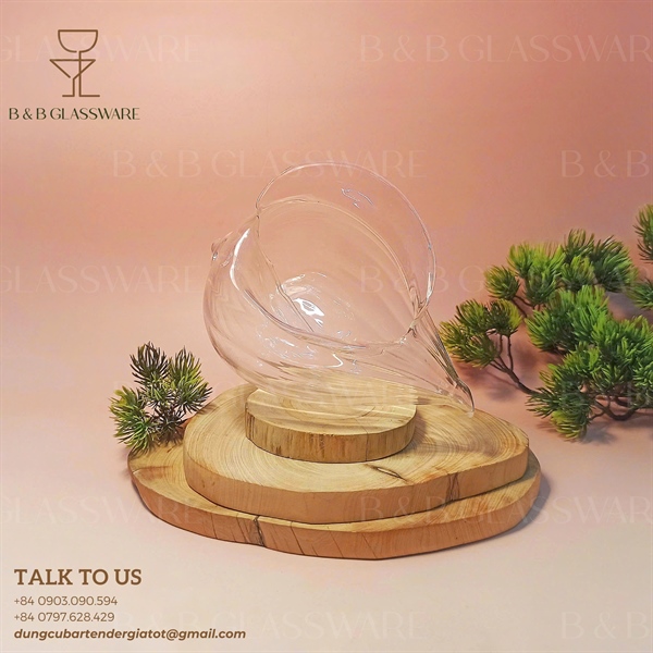 Ly Cocktail Sea Shell 2