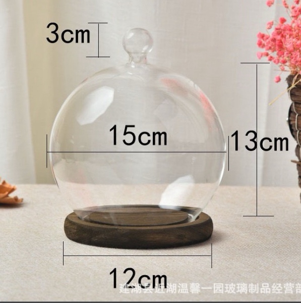 Lồng Chụp Hình Cầu Thủy Tinh Kèm Đế Gỗ